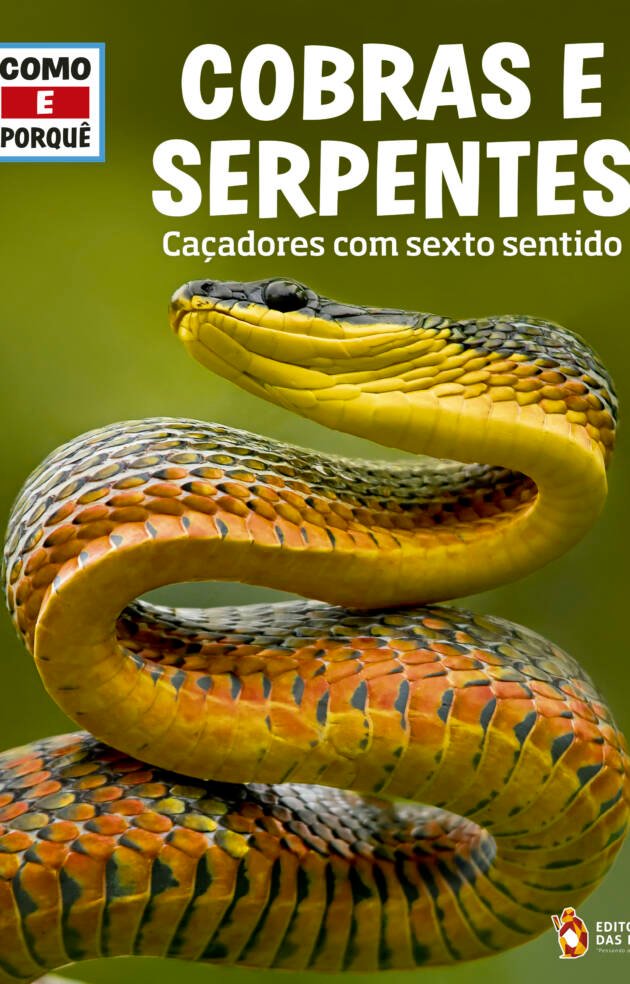 Cobras e serpentes
